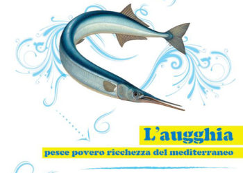 Aguglia pesce azzurro