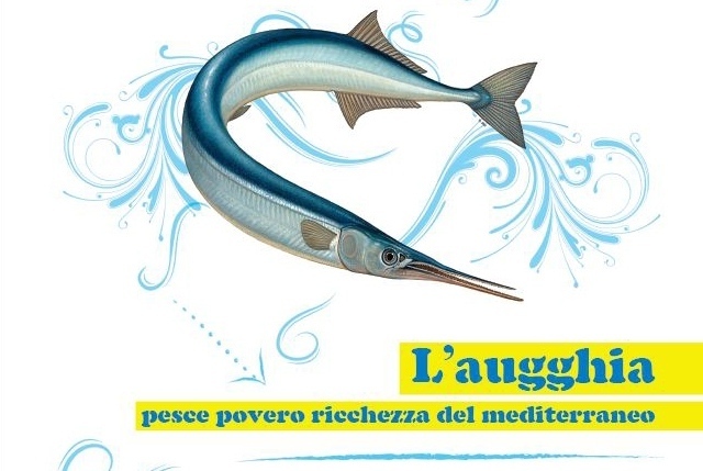 Aguglia pesce azzurro