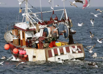 Pesca nell'Atlantico nordorientale