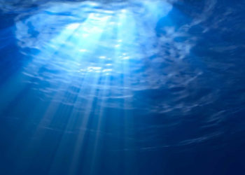 EUMOFA. Bioeconomia blu