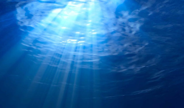 EUMOFA. Bioeconomia blu