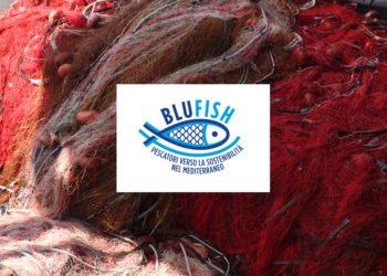 MSC progetto BluFish