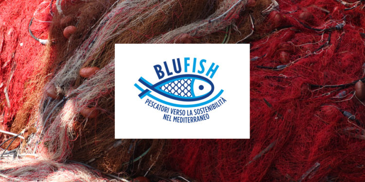MSC progetto BluFish
