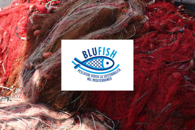 MSC progetto BluFish