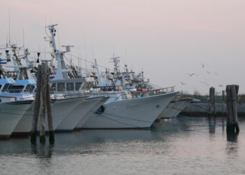 Distretto Ittico del Polesine e del Veneziano