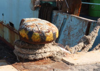 MAP risorse demersali