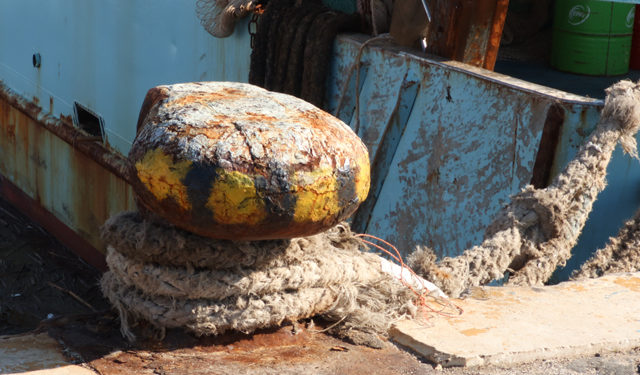 MAP risorse demersali