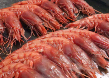 Rinviato il voto al MAP