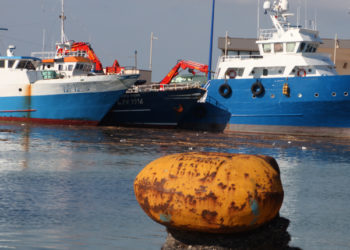 Il mercato del pesce secondo Greenpeace