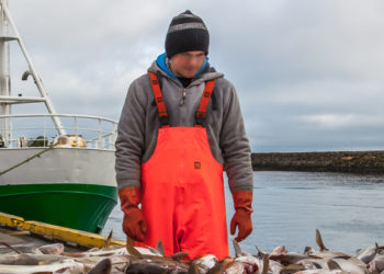 Proposta della Commissione Europea sulla possibilità di pesca per il 2019 nell'Atlantico e nel Mare del Nord