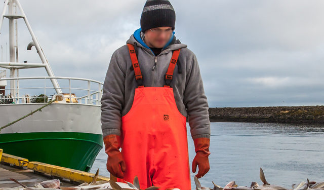 Proposta della Commissione Europea sulla possibilità di pesca per il 2019 nell'Atlantico e nel Mare del Nord