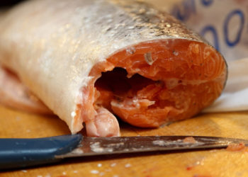 Sondaggi online nell'ambito del progetto PrimeFish