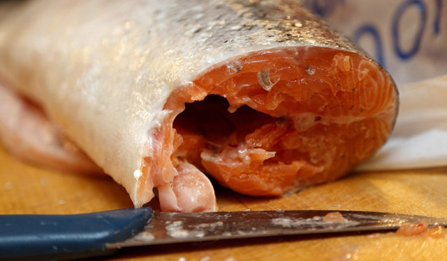 Sondaggi online nell'ambito del progetto PrimeFish