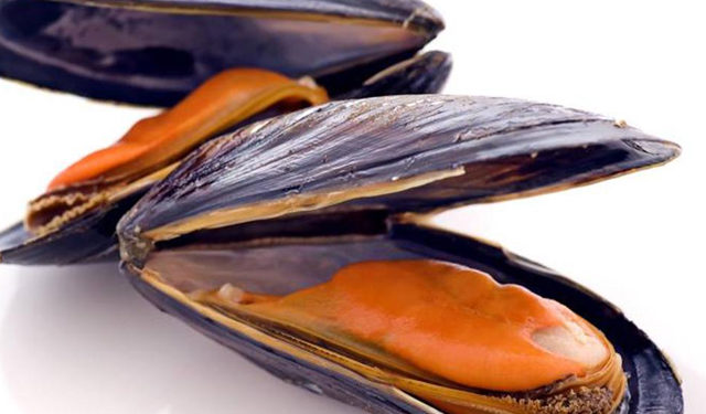 Progetto Blueshell studia utilizzo dei sottoprodotti dei frutti di mare