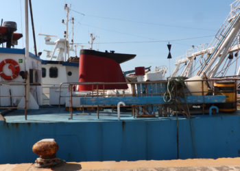 L'ONG Oceana tuona contro il sovrasfruttamento del Mediterraneo