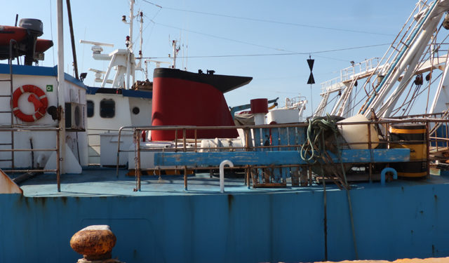 L'ONG Oceana tuona contro il sovrasfruttamento del Mediterraneo