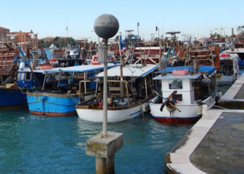 cogestione pesca sostenibile