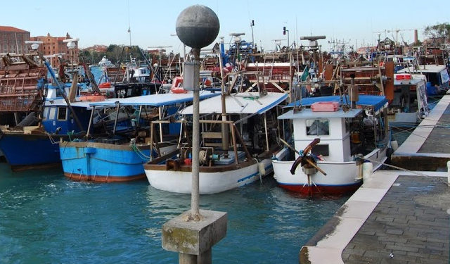 cogestione pesca sostenibile