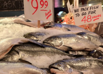 etichettatura prodotti ittici