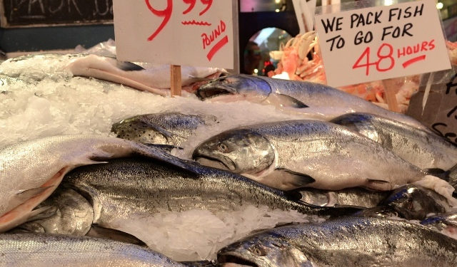 etichettatura prodotti ittici