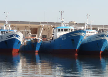 Imbarcazioni da pesca