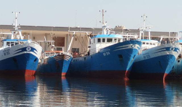 Imbarcazioni da pesca