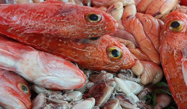 Pesca e acquacoltura nell'annuale "Il mercato ittico dell'UE"