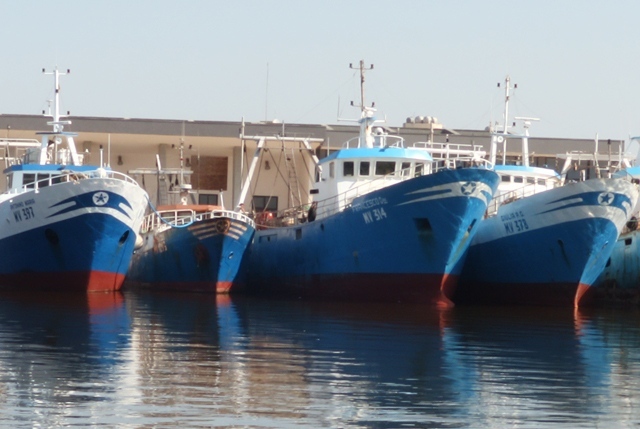 Imbarcazioni da pesca