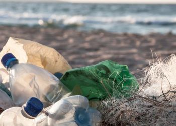 Plastica monouso  e inquinamento dei mari