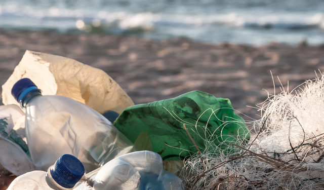 Plastica monouso  e inquinamento dei mari