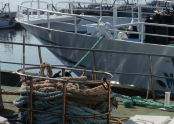 Settore pesca UNCI Agroalimentare