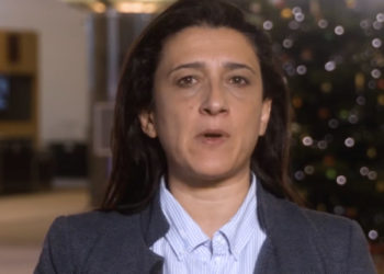 SME Intrument, l'eurodeputata Rosa D'Amato interviene sullo strumento del programma Horizon 2020