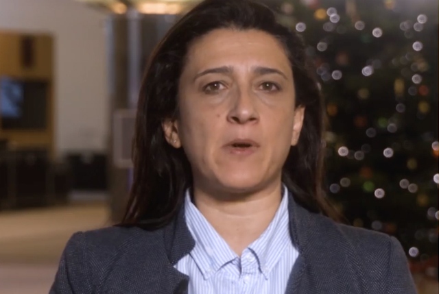 SME Intrument, l'eurodeputata Rosa D'Amato interviene sullo strumento del programma Horizon 2020