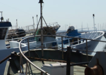 OP La perla del Tirreno