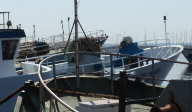 OP La perla del Tirreno