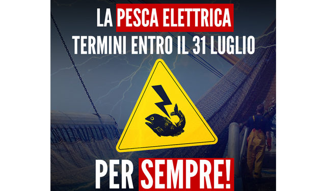 pesca elettrica
