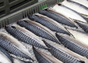 Esportazioni norvegesi di prodotti ittici