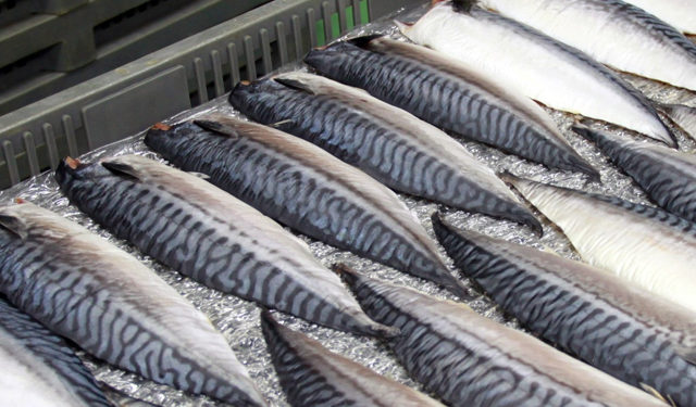 Esportazioni norvegesi di prodotti ittici