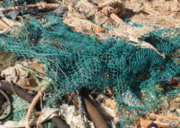Recupero reti da pesca e plastica