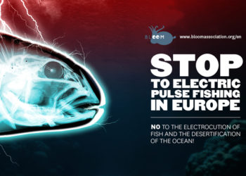 BLOOM - Lotta alla pesca elettrica