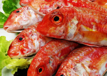 Aumenta il consumo di pesce in Italia