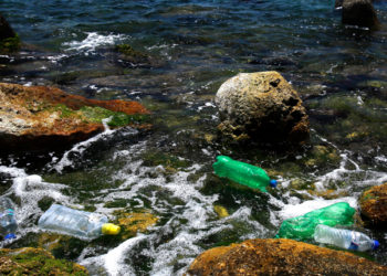 WWF - Inquinamento da plastica