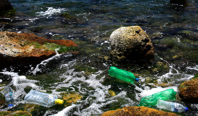 WWF - Inquinamento da plastica