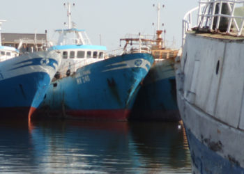 Pesca. Misure tecniche di conservazione