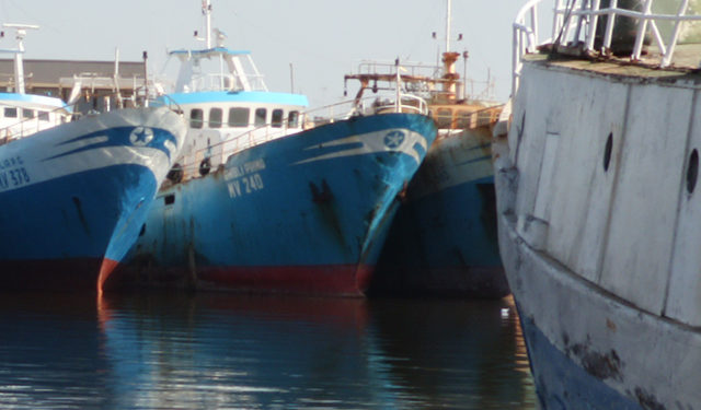 Pesca. Misure tecniche di conservazione