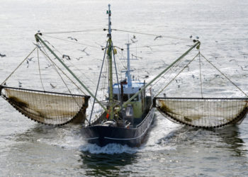 Fine della pesca elettrica
