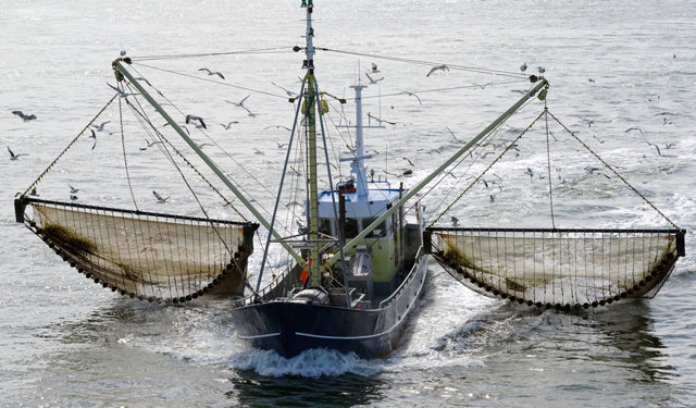 Fine della pesca elettrica