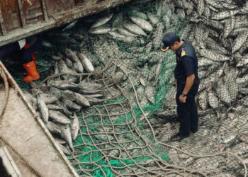 pesca illegale