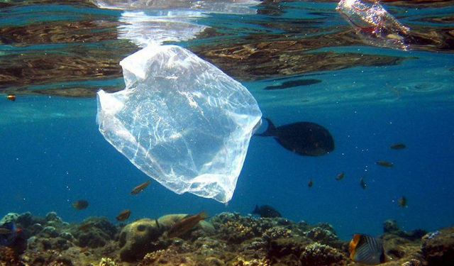 Greenpeace: la plastica minaccia la salute umana