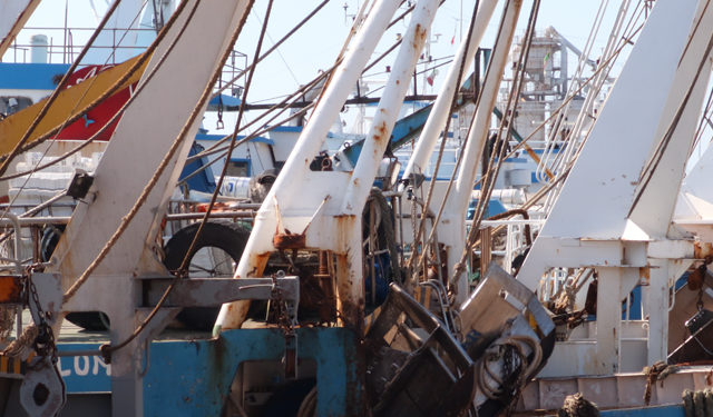 Dl Aiuti: 23 mln a Pesca contro caro gasolio, ok emendamento